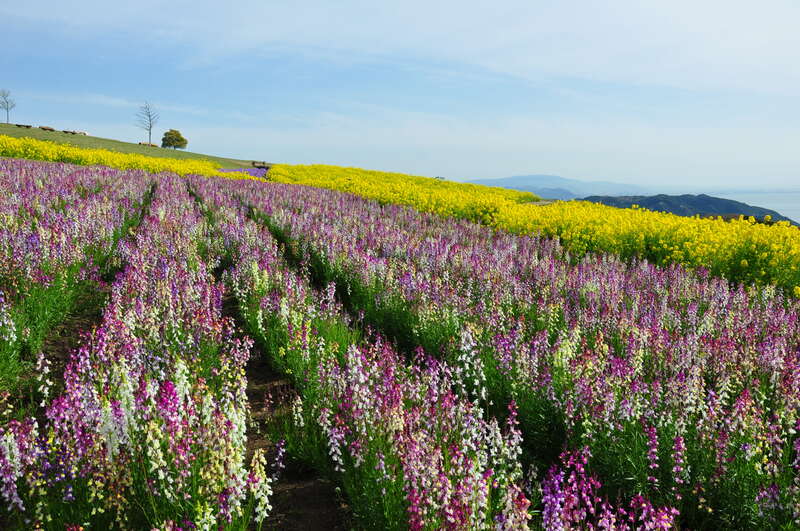 【羽田空港発】 たっぷり滞在！ 大塚国際美術館・姫路・鳴門・淡路島　2日間（鳴門温泉宿泊・夕食付）2