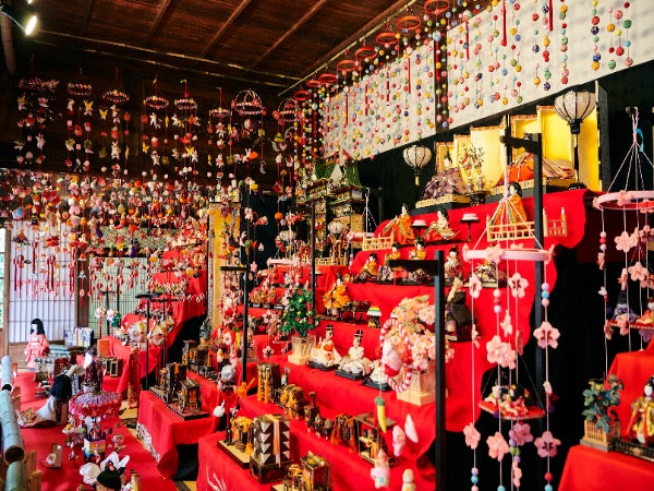 ★3/3 催行決定★【横浜発】まつだ桜まつりと瀬戸屋敷ひな祭り 春爛漫！河津桜と菜の花、富士山のスペシャルコラボを鑑賞　まつだ桜まつりと瀬戸屋敷ひな祭り3