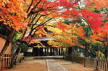 早期特典【岐阜発着】永源寺・百済寺・胡宮神社 近江3つの紅葉名所を巡る 秋麗スペシャル 日帰り ~期間限定!心を掴まれる紅葉に出会える~