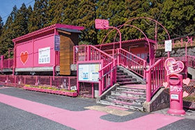 姫路　龍野　発
みたき園山菜料理と森の学校ではちみつ採集体験3