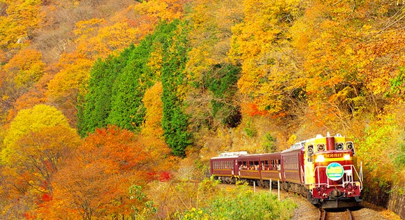 ＜新宿発・西船橋発＞ 秋色の わたらせ渓谷鉄道・トロッコ列車 と 錦秋の世界遺産・日光の旅　～風味抜群！やまと豚弁当の昼食付き～1