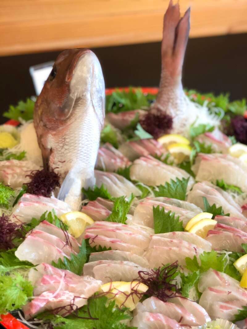 【愛媛県内発】 宇和島伊達家ゆかりの天赦園を彩る「白玉藤」と真鯛料理ビュッフェ　日帰り3