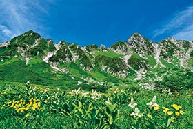 山野草の宿 二人静と天空のお花畑「千畳敷カール」2