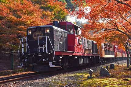 【倉吉・ハワイ・鳥取 発】 晩秋の嵯峨野トロッコ列車と嵐山
