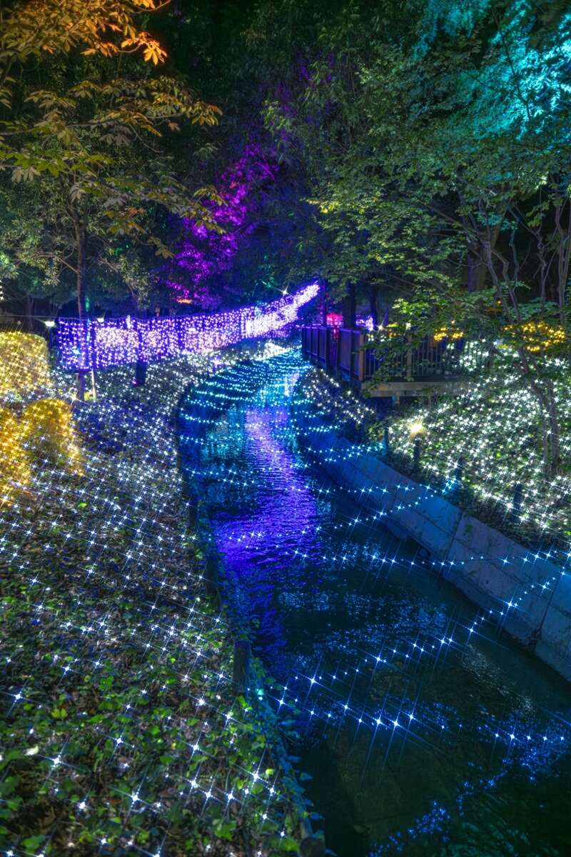 【岩国発】 倉敷満喫旅～レストランフェリシオンdeランチ＆くらしき きらめきのみち～　日帰り3