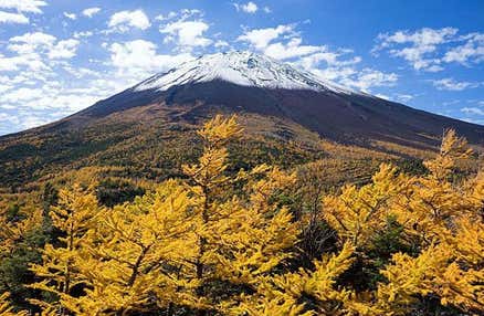 [上野/新宿発]世界遺産の富士山五合目散策＆富士山麗の美しい河口湖＆名水百選に認定されている忍野八海を巡り、富士みちへ。お手軽富士山観光ツアー！(韓国語ガイド付)