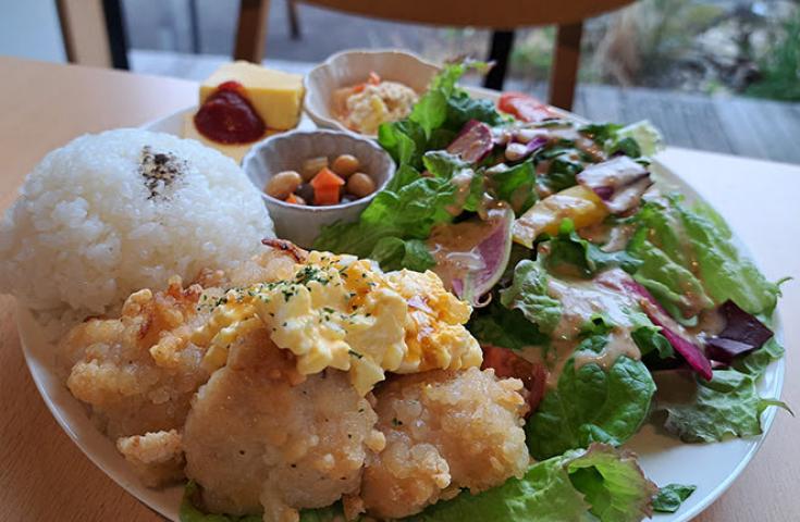 【愛犬同伴プラン】(11/23)『みかん狩り』食べ放題＆修善寺虹の郷『紅葉ライトアップ』＆『イルミtheナイト』鑑賞、チキン南蛮プレートランチ(タピオカも選べるドリンク付)をお楽しみの日帰りvipわんツアー！3