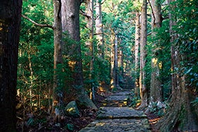 ホテル浦島と紀伊半島の世界遺産3