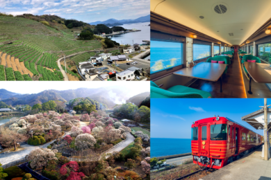 【広島港・呉港発着】絶景の伊予灘線を走る「伊予灘ものがたり」 南楽園 梅まつりと遊子水荷浦段畑２日間1