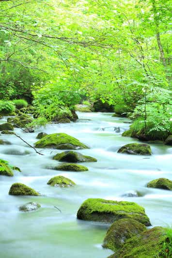 【広島空港発】 はじめての東北旅～蔵王・松島・銀山温泉・角館・十和田・奥入瀬・中尊寺～