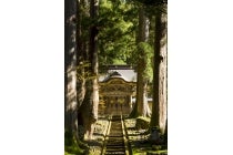 ◎WEB予約でリボンポイント３ポイント◎【春日井・瀬戸発】＊日帰り昼食付＊『涼を感じる福井旅　夏の永平寺と隠れた苔の名所！大塩八幡宮』1