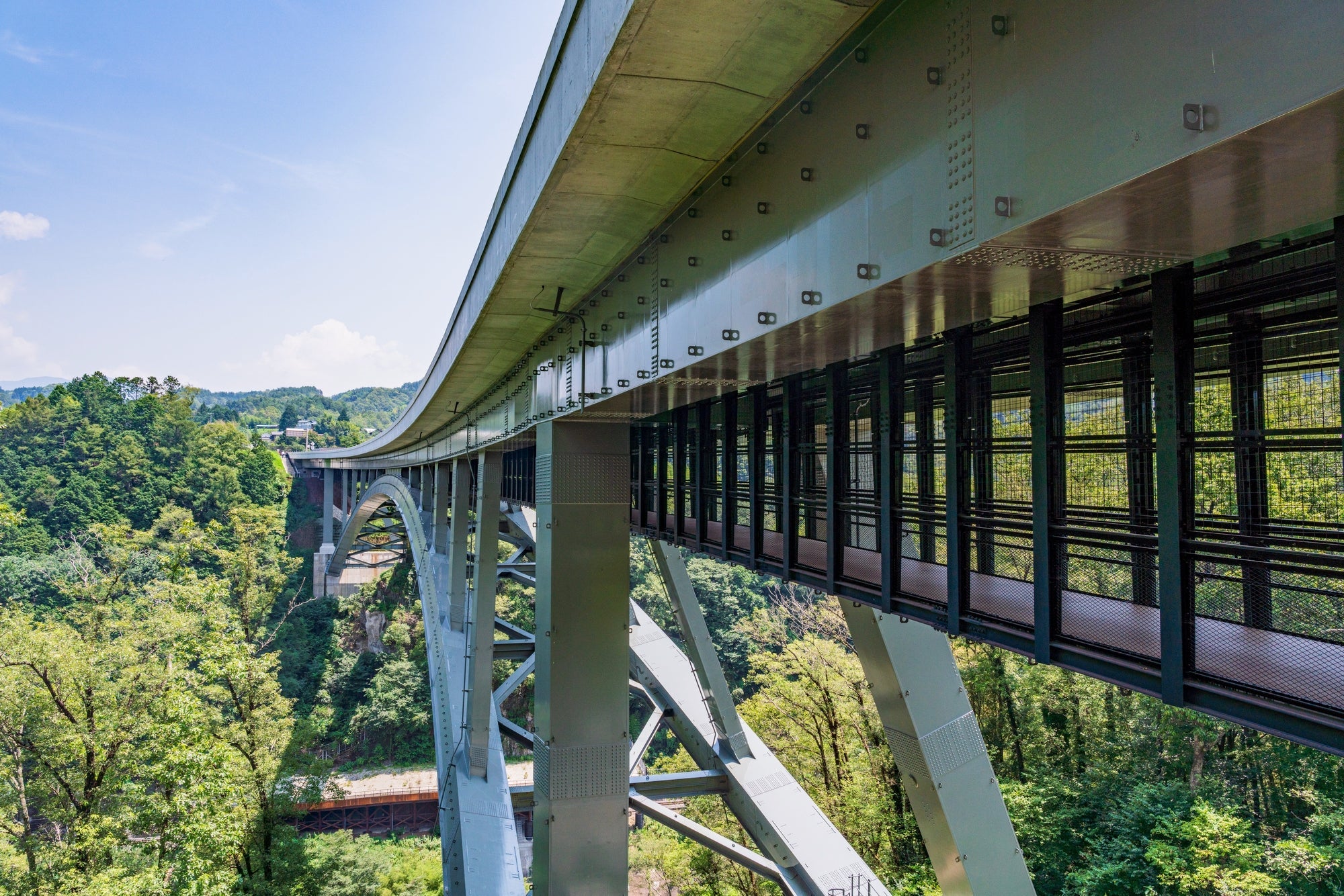 『熟練職人の打ちたて「霧下そば」と信州名物「馬刺し」　「佐藤錦」または「紅秀峰」を含むサクランボ狩り食べ放題』【名古屋駅出発】＜こだわりの食の旅＞2