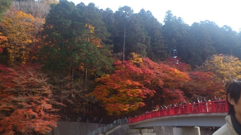 【京都・滋賀エリア発着】東海屈指の紅葉名所！　香嵐渓（こうらんけい）と 蒲郡みかん狩り食べ放題・カニ又は松茸の選べる昼食　日帰り2
