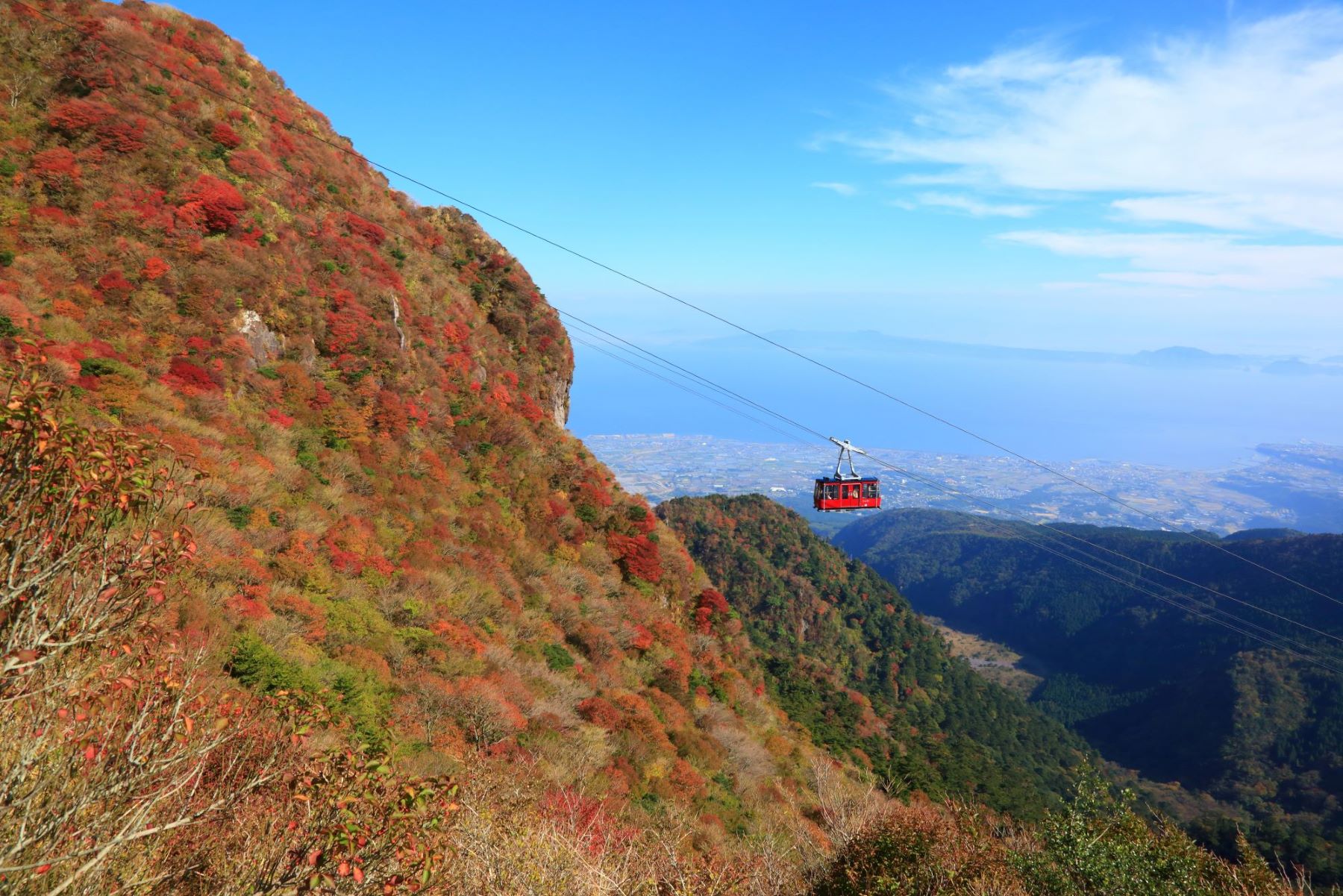 雲仙仁田峠の紅葉観賞としいたけ工場見学＆収穫体験🍄日帰りバスツアー🚌1