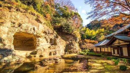 ＜Web割対象商品＞【キングツアーバス旅】錦秋の鎌倉の奥座敷　鎌倉ガイドと歩く♪鎌倉宮から瑞泉寺～永福寺跡～覚園寺〔聖蹟桜ヶ丘・府中・調布発〕1