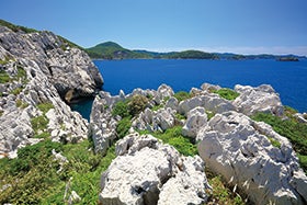 福崎・社・三木　発
伊勢海老！いちご！和牛！お持ち帰りと「日本のエーゲ海」白崎海洋公園1