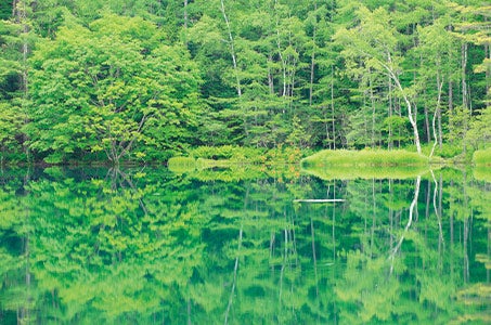 【八ヶ岳側の部屋確約プラン】八ヶ岳を望む標高1600ｍの「天空の楽園」に5連泊 車山高原 長期滞在の旅6日間2