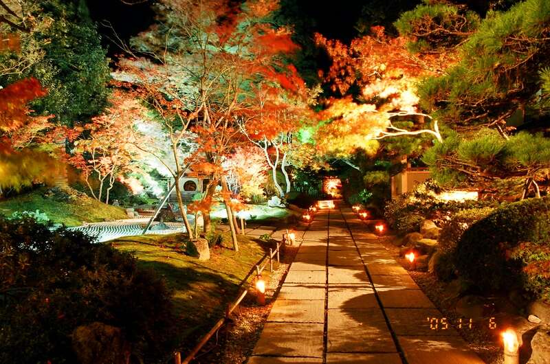 【東京駅・上野駅・大宮駅・宇都宮駅発】 日本三景・松島『円通院』紅葉ライトアップと 日本三大渓・嵯峨渓クルーズ 旬の牡蠣三昧を味わう2日間1