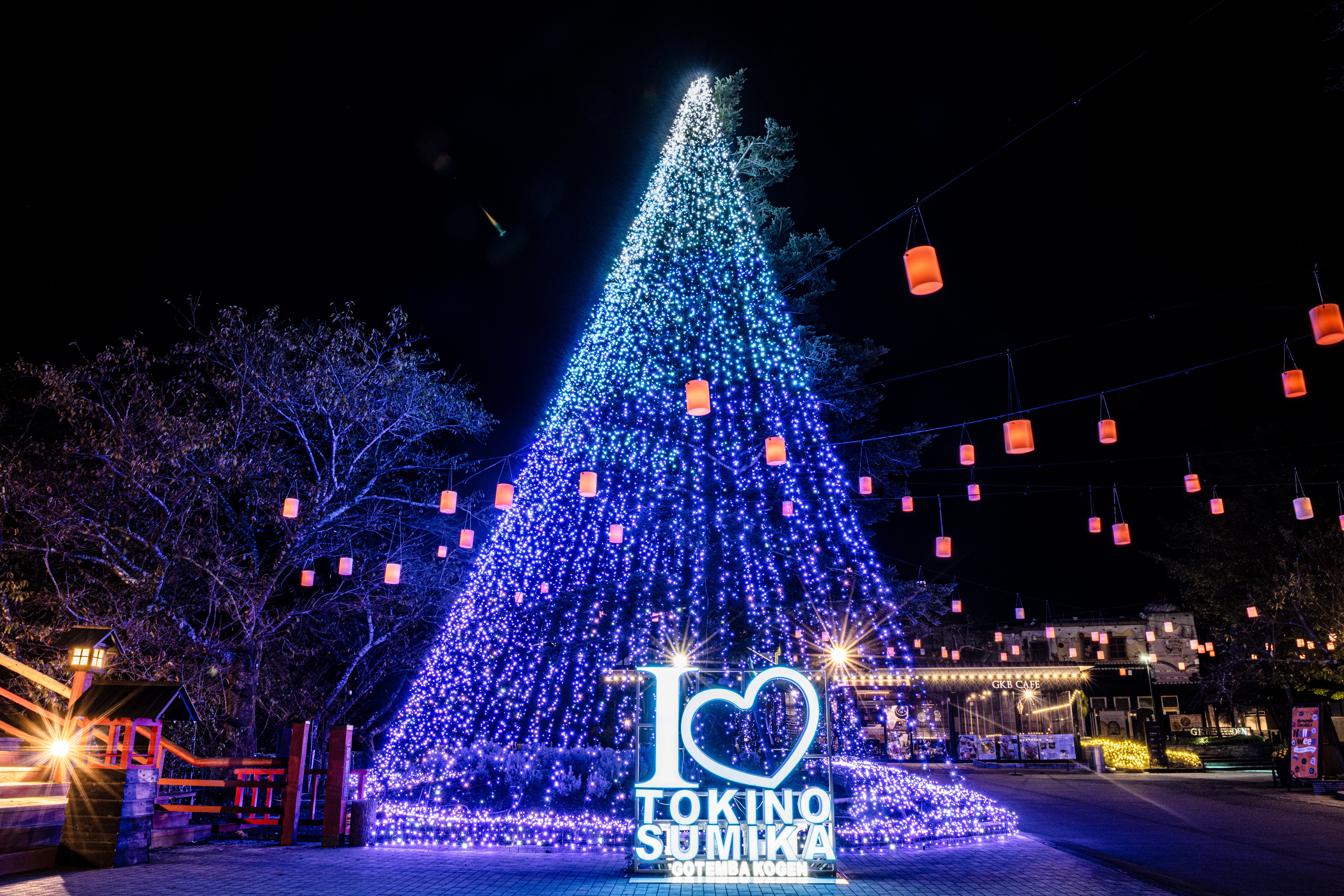 【新大阪駅・京都駅・米原駅・名古屋駅発】 祝30周年！幻想的に輝く時之栖イルミネーション＆グルメバイキングと冠雪の富士山眺望クルーズ2日間2