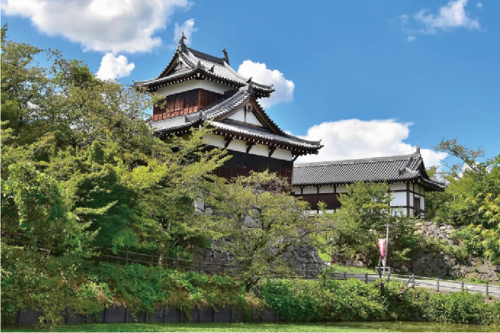 ＜大阪・奈良＞舞洲100万本のネモフィラ祭りと春日大社砂ずりの藤＆豊臣秀長ゆかりの地 大和郡山 ドラマ館ご見学【垂水・名谷・西鈴蘭台出発】3