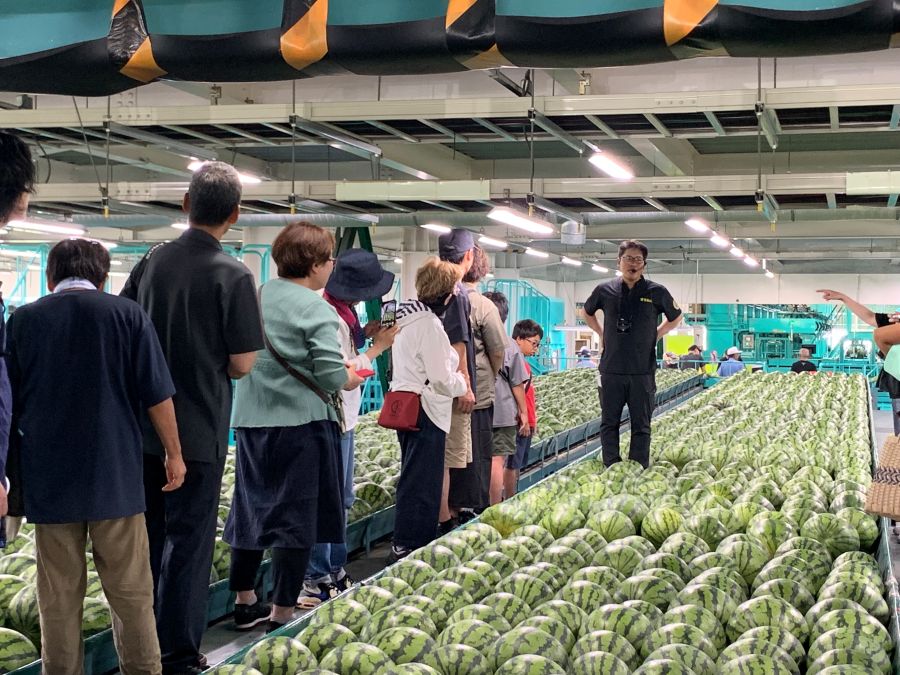 廃線跡ウォーキング＆スイカ選果場見学１泊２日 ちらし2