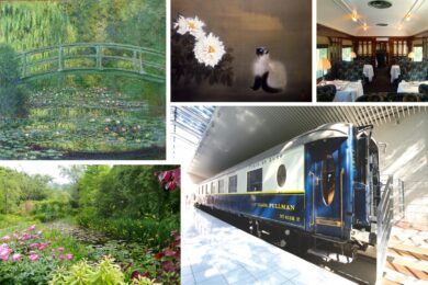 【広島駅・福山駅発着／新幹線利用】ワンランク上のアートな旅《箱根編》1泊2日 《限定24名》避暑地箱根・オリエント急行で優雅なランチ1