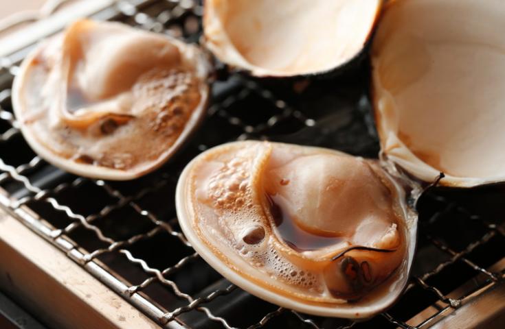 【早割30】[新宿発]心躍る房総！海鮮浜焼食べ放題と爽快フェリーで東京湾横断♪はちみつの専門店と写真ＳＮＳ映えスポットへ！日帰りバスツアー！3