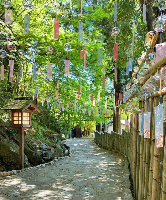 十可苑風鈴まつりと古代蓮開花リレー　日帰りバスツアー🚌1