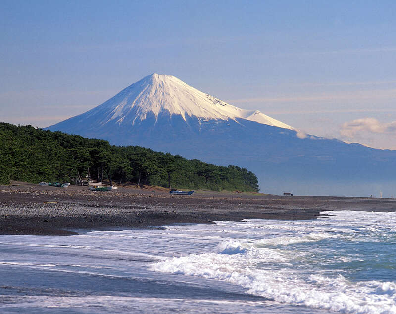 【熊本空港発】 河津桜・熱海梅園・修善寺梅林　伊豆の名湯伊東温泉３日間3