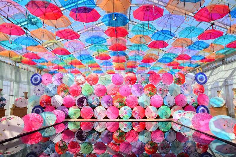 【東京駅・上野駅・大宮駅・小山駅・宇都宮駅・那須塩原駅発】 秘境・只見線と会津磐梯６つの絶景ハイライト（２日間）3