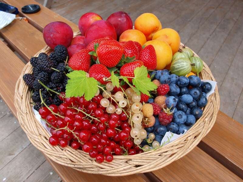 【新函館北斗駅発】 西目屋ダム『水陸両用バス』と世界自然遺産「白神山地」、フルーツ狩り食べ放題（日帰り）3