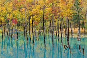 日本で一番早い紅葉 大雪山「黒岳」と秋の北海道周遊2