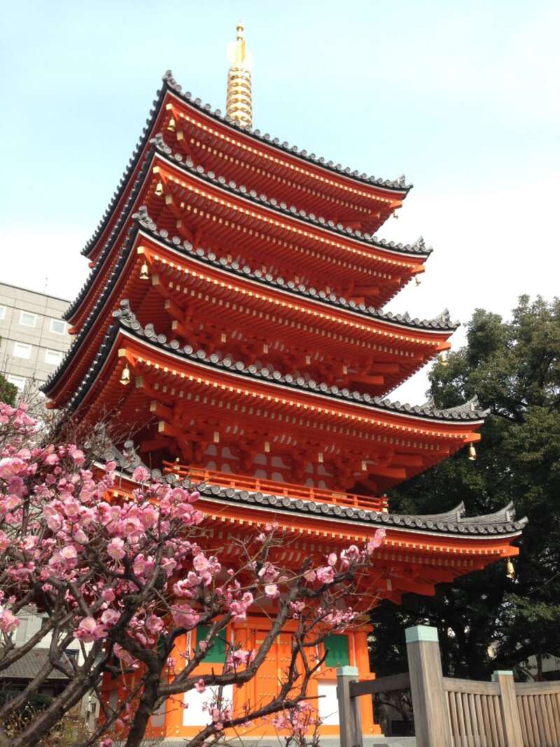 【防府・新山口発】福岡さくら紀行～ホテル日航福岡でゆったり春のランチビュッフェと福岡桜めぐり～　日帰り3