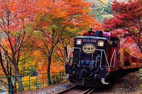 姫路・加古川発
　嵯峨野トロッコ列車と京のランチ＆デザートブッフェ！