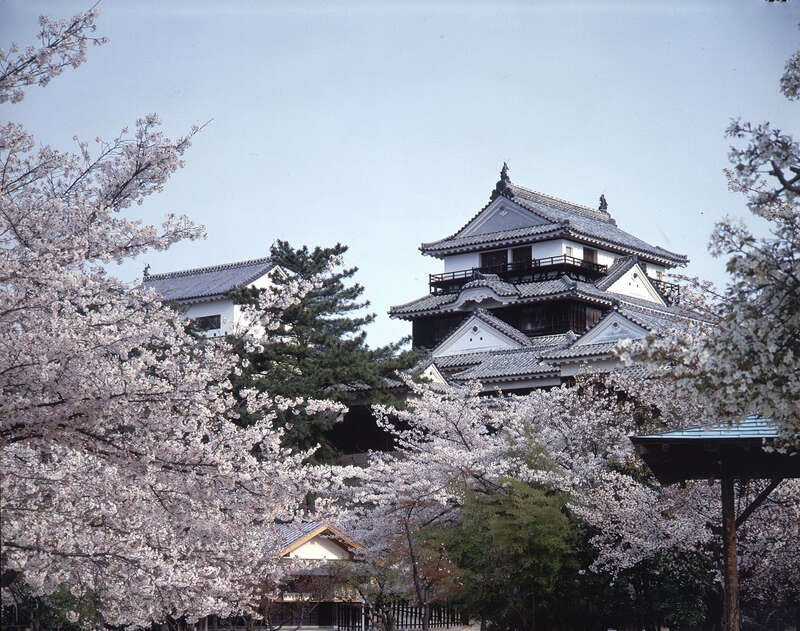 【新大阪駅・新神戸駅発】 ≪日本100名城めぐり≫四国編  ～徳島・香川・愛媛・高知 完全制覇～３日間3