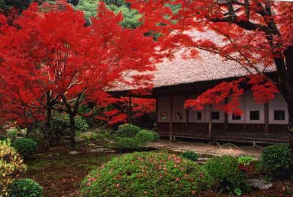 【新大阪・新神戸・岡山・広島駅発】 九年庵特別公開とたっぷり九州秋彩九景3日間