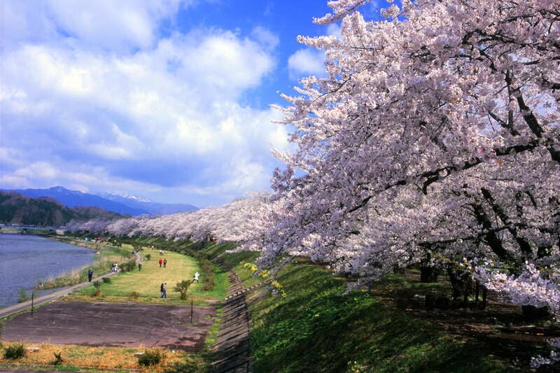 【栃木県内発】 絶景のローカル線「五能線」と雪の回廊 東北二大桜・弘前公園 夜桜ライトアップと角館（３日間）3
