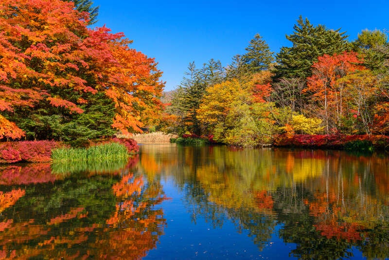【茨城県内発】 水面に紅葉彩る「雲場池」＆旧軽井沢散策 「軽井沢プリンスホテル ウエスト」秋のランチビュッフェ 日帰り3