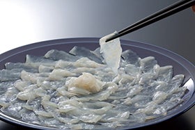 姫路・加古川　発
あけぼの旅館で食す冬の贅沢グルメ「敦賀ふぐ」2