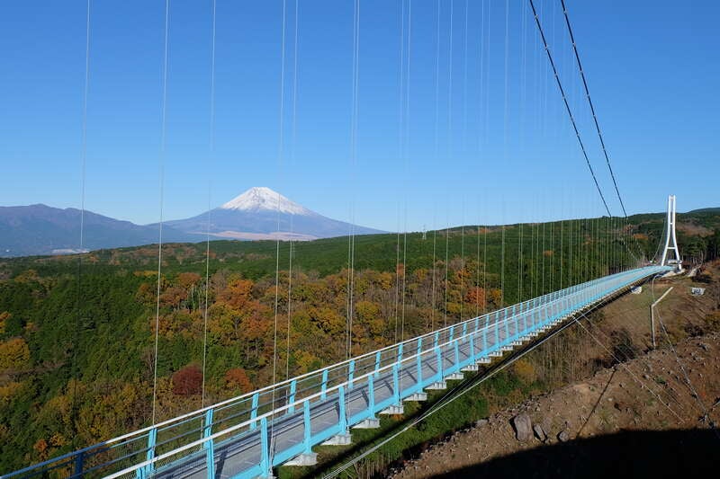 【千葉県内発】 「御膳屋丸天」で食す！ 人気No1メニュー9種の海鮮丼 絶景☆三島スカイウォーク3