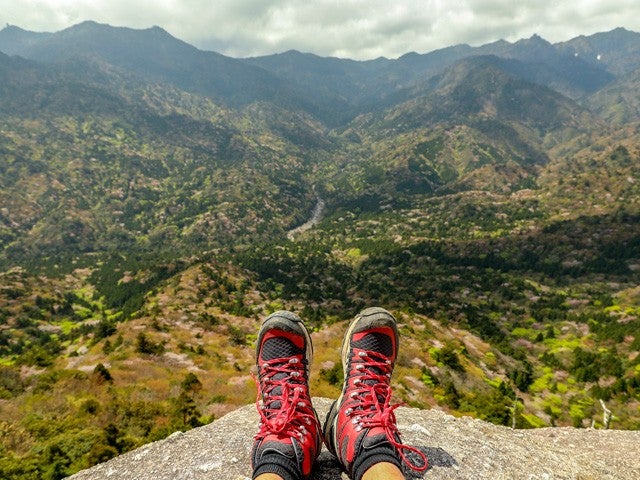■往復航空機利用！≪ガイドと行く(早朝出発)白谷雲水峡と太鼓岩トレッキング（楠川歩道コース）付！≫世界遺産「屋久島」　2泊3日2