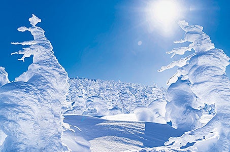 【広島空港発着】熱狂の東北四大夏祭りと青森ねぶた海上運行豪華競演！!4日間　～これぞ日本の夏！魂を揺さぶる祭りの季節がやってきた！！～2
