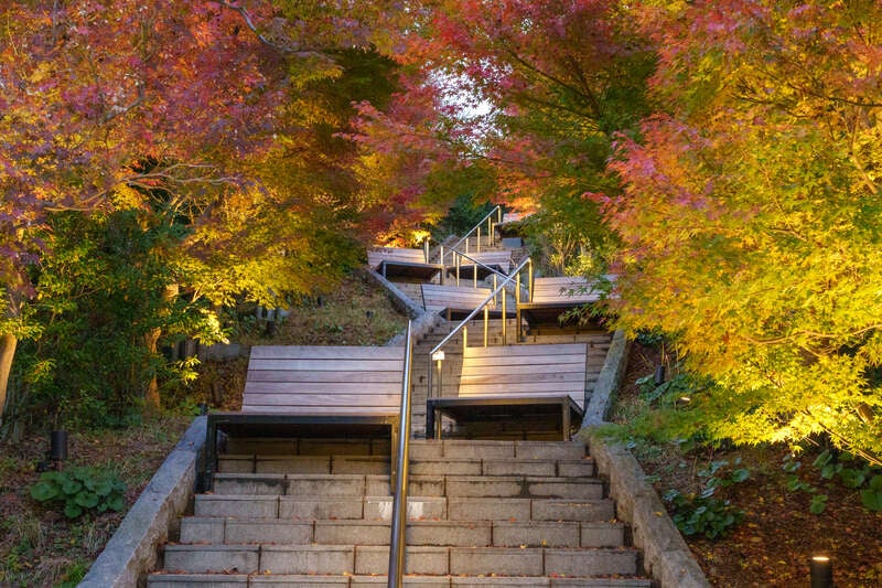 【矢田バス停発】 山口東部読売会愛読者謝恩旅行　青海島遊覧と秋色に染まる長門湯本紅葉の階段・大寧寺を訪ねる日帰り2