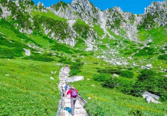 ■岐阜名古屋発オリオンツアー空の下で食べるお弁当は格別です！ご当地グルメソースかつのお弁当付！夏でも涼しい天空のお花畑でアルプスの少女ハイジの気分になる中央アルプス千畳敷カールへ行く日帰りバスツアー1