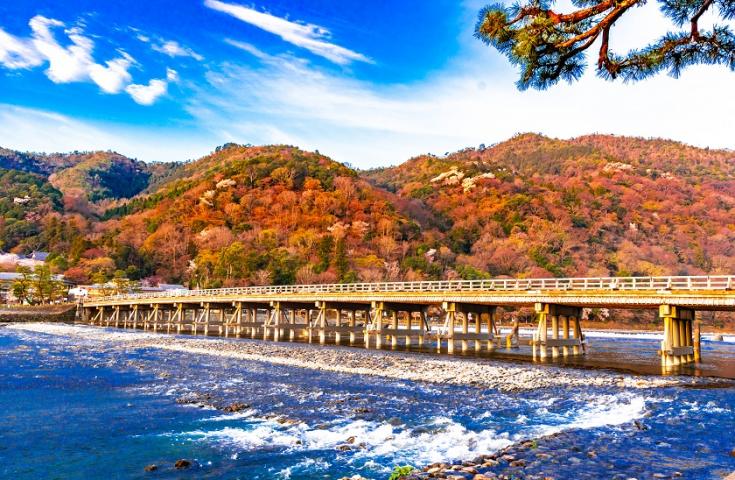 [難波/京都発]訪れたいスポットとして大注目の2大古都 京都・奈良周遊日帰りツアー　築120年以上の京町屋で召し上がる「黒毛和牛神戸牛しゃぶしゃぶ」に舌鼓！(英語ガイド付)1