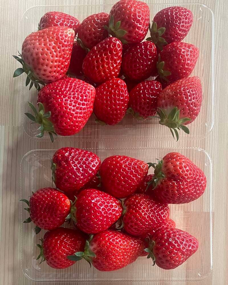 【阪神エリア発】 日頃の感謝を込めて...本ズワイガニ又はいちご4パックの選べるお持ち帰り付き！大感謝祭ツアー　滋賀　日帰り2