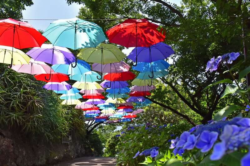 【神奈川県内・町田発】 お花好き集合♪咲き競う初夏の花々～花日和フラワーミステリー～1