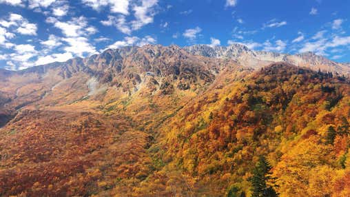 【金沢発着】秋の立山 たっぷり4時間半!フリータイム