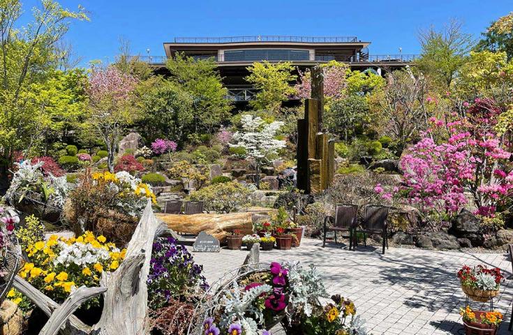【早割30】[新宿発]山梨静岡いいとこどり★新登場！贅沢【ホテルランチビュッフェ】×真っ赤な初夏の宝石【さくらんぼ狩り食べ放題】で季節感じるダブル食べ放題！富士山一望デッキのあるハーブの庭園散策にお買い物まで♪2