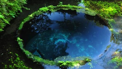 ＜Web割対象商品＞【キングツアーバス旅】どっさどっさin早春の伊豆～コバルトブルーの柿田川湧水～〔狛江・新百合ヶ丘発〕2